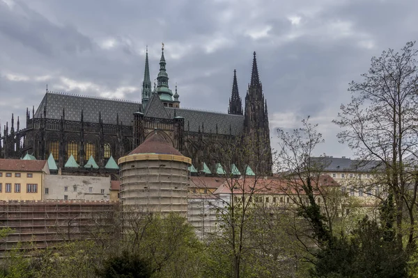 Szent Vitus katedrális Prágában. — Stock Fotó