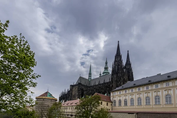 Szent Vitus katedrális Prágában. — Stock Fotó