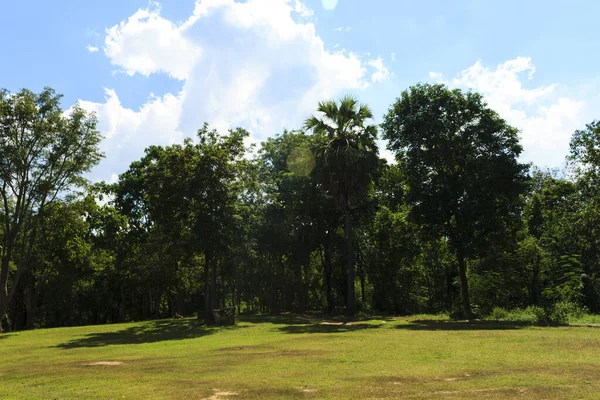 Natureza da Tailândia — Fotografia de Stock