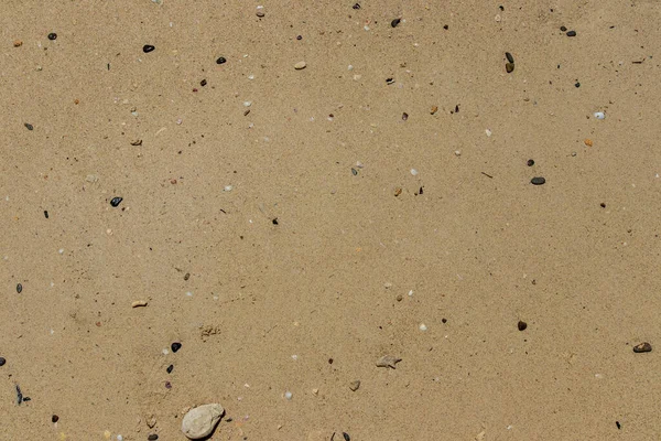 Песчаный пляж с камнями . — стоковое фото