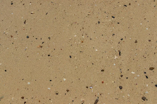Playa de arena con piedras . —  Fotos de Stock