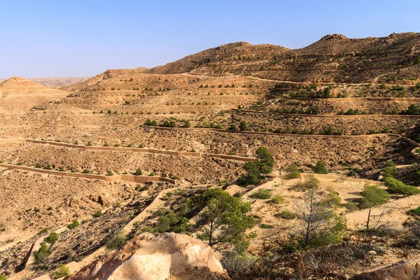 午後のサハラ砂漠の石のシーン. — ストック写真
