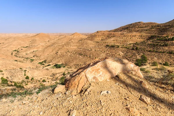Öğleden sonra Sahra Çölü 'nün taştan manzarası. — Stok fotoğraf
