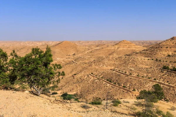 午後のサハラ砂漠の石のシーン. — ストック写真