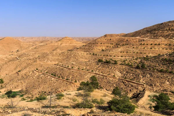 Öğleden sonra Sahra Çölü 'nün taştan manzarası. — Stok fotoğraf