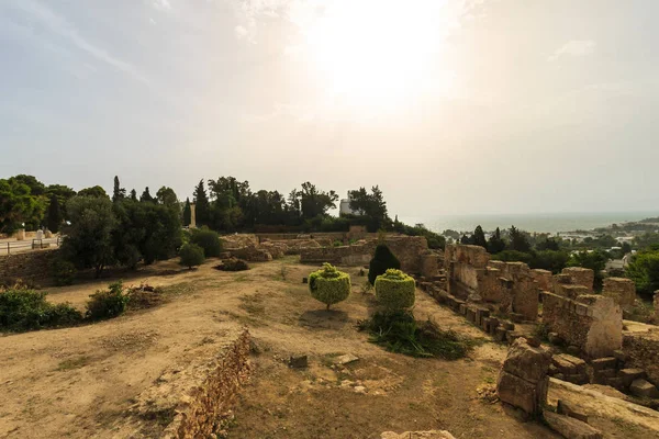 Ancient ruins of Carthage — Stock Photo, Image