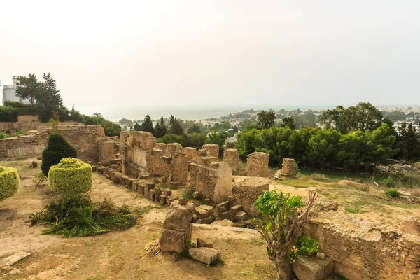 Ancient ruins of Carthage — Stock Photo, Image