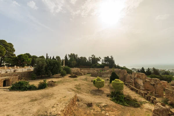 Ancient ruins of Carthage — Stock Photo, Image
