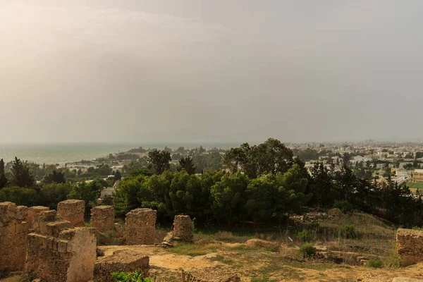 Ancient ruins of Carthage — Stock Photo, Image