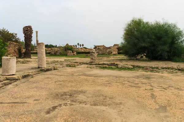Oude ruïnes van baden bij Tunisia, Carthago — Stockfoto