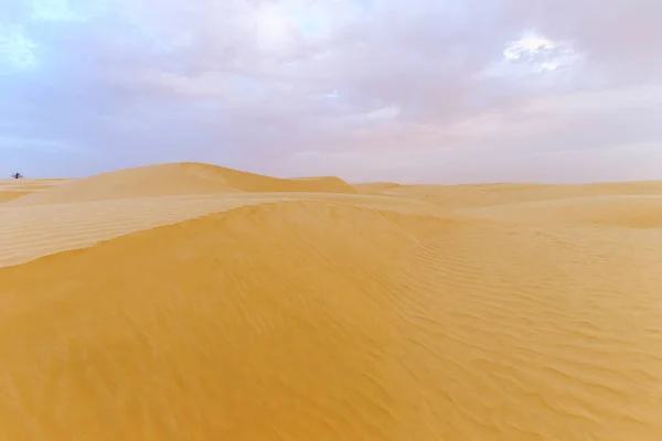 Sahara desert with cloudly sky. Sand dunes. — Stock Photo, Image