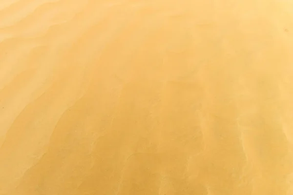 Sandy desert background. Detailed yellow sand texture.