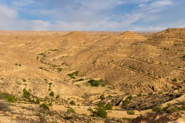 Cena de pedra do deserto do Saara à tarde . — Fotografia de Stock