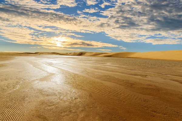 The dunes of the Sahara Desert. — Stock Photo, Image