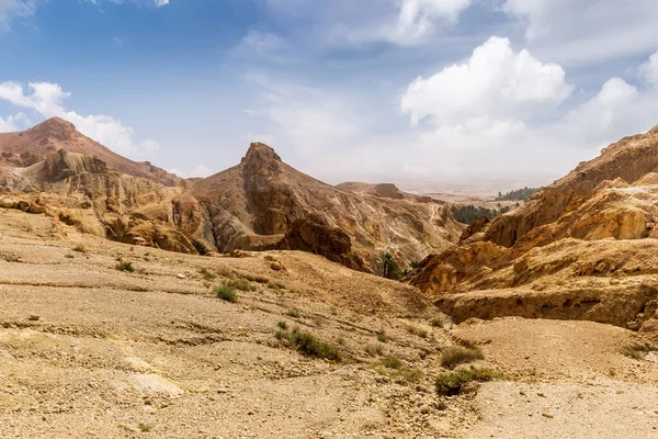 Taş çölde bir kanyonun manzarası. — Stok fotoğraf