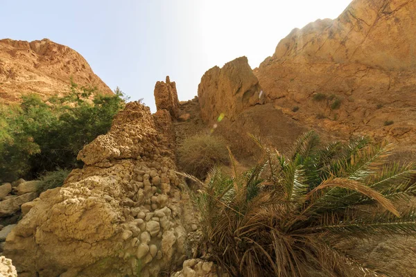 Τοπίο όασης στο φαράγγι στην πέτρινη έρημο. — Φωτογραφία Αρχείου