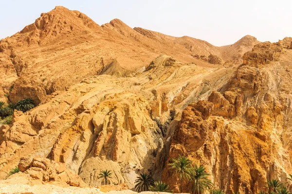 Taş çölde bir kanyonun manzarası. — Stok fotoğraf