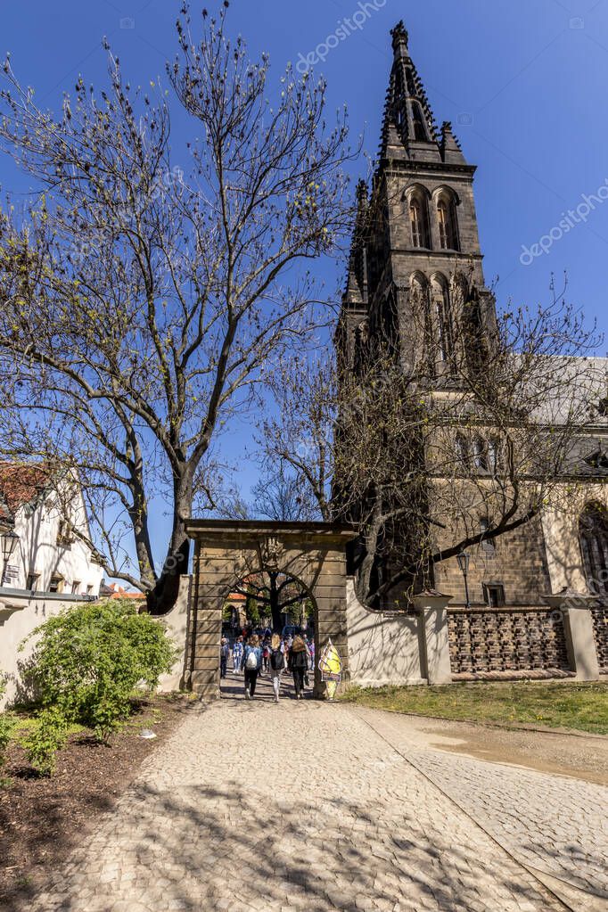Basílica de San Pedro y San Pablo. 2022