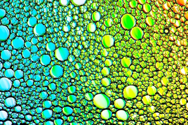 Kleurrijke druppels olie op het water. Cirkels en ovalen. Samenvatting — Stockfoto