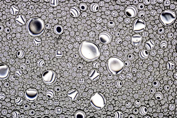 Black and white drops of oil on the water. Circles and ovals. Ab — Stock Photo, Image