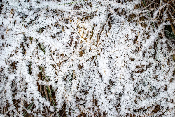 Gras, das im Spätherbst oder frühen Winter mit Raureif bedeckt ist. a c — Stockfoto
