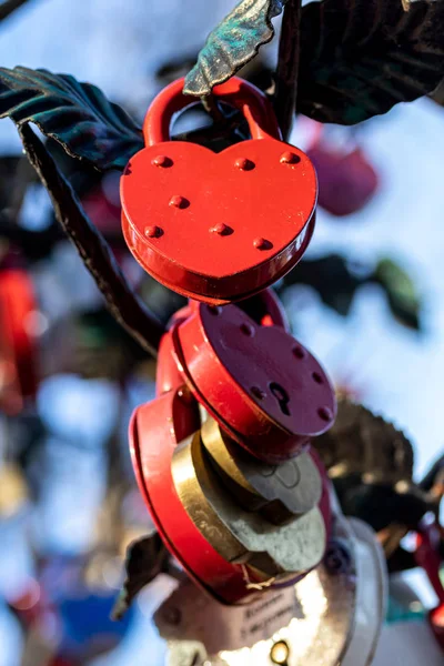 Πολλές γαμήλιες πολύχρωμες κλειδαριές σε ένα δέντρο. Σύμβολο αγάπης, — Φωτογραφία Αρχείου