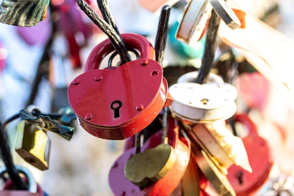 Beaucoup de serrures colorées de mariage sur un arbre de mariage. Symbole d'amour , — Photo