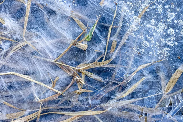 Texture of grass in ice in the winter. Abstract background for d — Stock Photo, Image