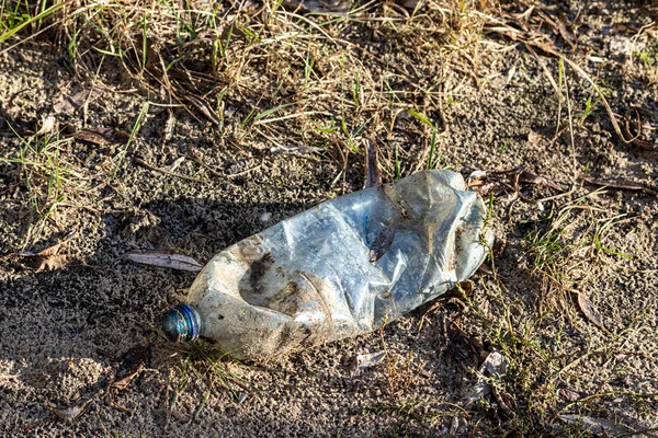Doğaya atılan plastik çöpler çimenlerin arasına atıldı. Güneşli bir sonbahar. — Stok fotoğraf