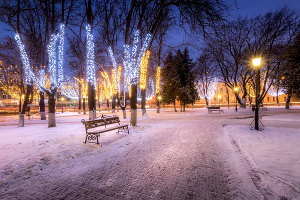 Zimowy park w nocy z dekoracjami świątecznymi, lampkami, ławeczką — Zdjęcie stockowe