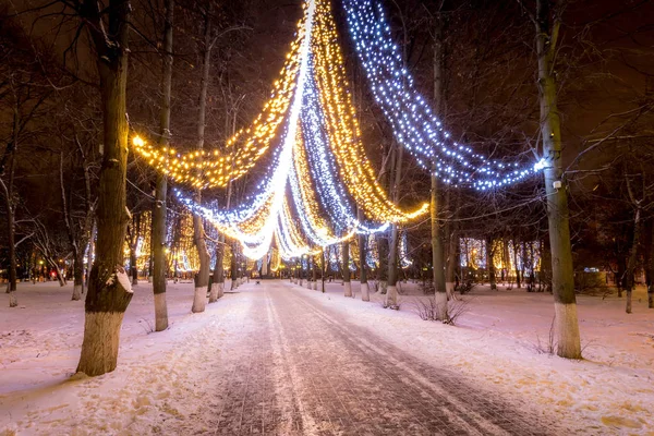 Zimowy park w nocy z dekoracjami świątecznymi, lampkami, ławkami — Zdjęcie stockowe