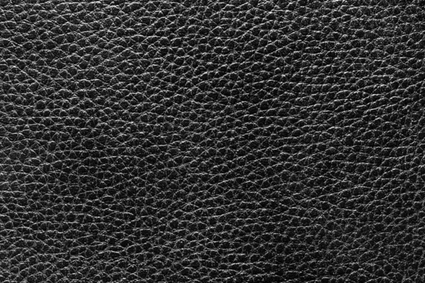 Textura de couro natural preto . — Fotografia de Stock