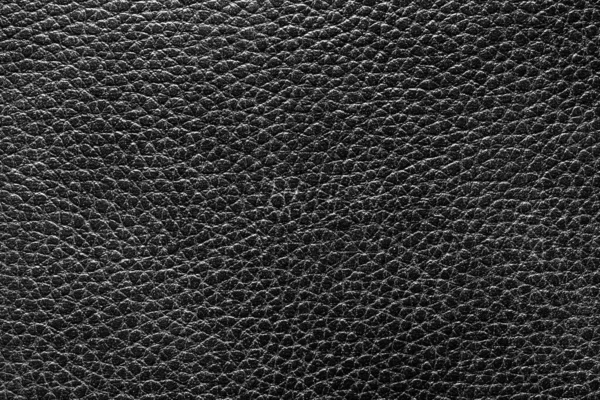 Texture cuir naturel noir . — Photo