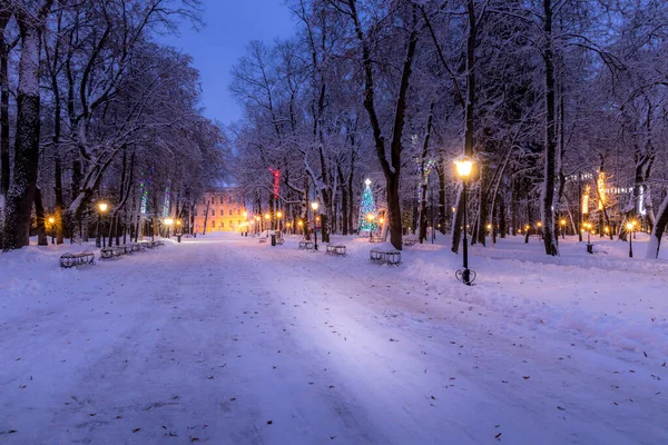 Zimní park v noci s vánoční výzdobou a smrkem, ligh — Stock fotografie