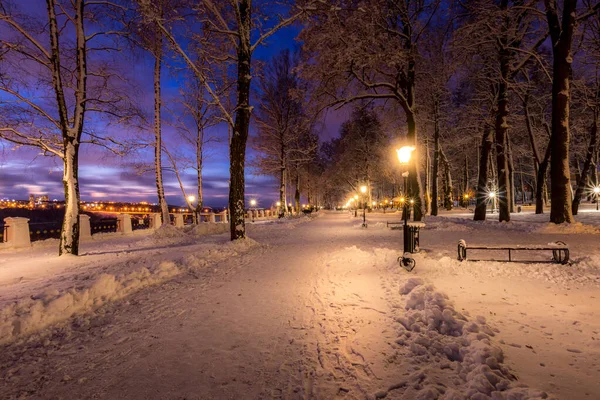 Зимний парк ночью с рождественскими украшениями, огнями, скамейками — стоковое фото