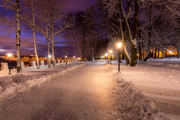 Parque de invierno por la noche con decoraciones de Navidad, luces, pavemen — Foto de Stock