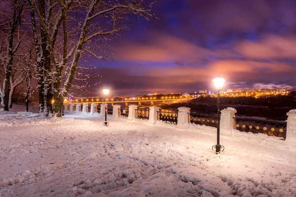 Зимний парк ночью с рождественскими украшениями, огнями, тротуарами — стоковое фото