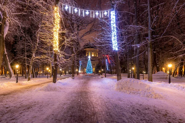 Зимовий парк вночі з різдвяними прикрасами та ялиною, світло — стокове фото