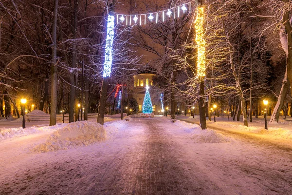 Зимний парк в ночное время с рождественскими украшениями и ели, молнии — стоковое фото