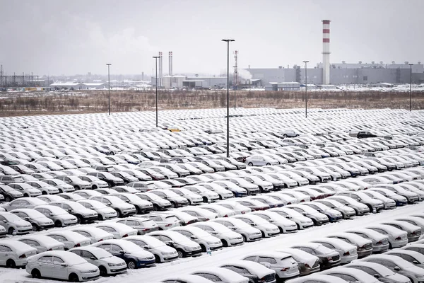 Volkswagen, Rusia, Kaluga - 31 DE ENERO DE 2019: Nuevos coches cubiertos —  Fotos de Stock