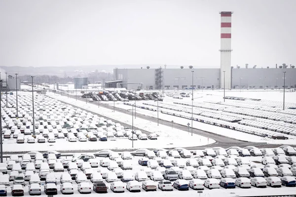 フォルクスワーゲン,ロシア,カルーガ- 2019年1月31日:新車カバー — ストック写真