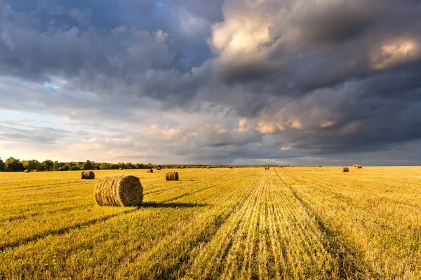 Scène met hooibergen op het veld in de herfst zonnige dag. Landelijk landschap met bewolkte lucht achtergrond. Gouden oogst van tarwe in de avond. — Stockfoto