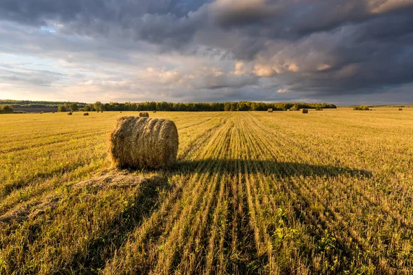 Scène avec des meules de foin sur le terrain en automne journée ensoleillée. Paysage rural avec ciel nuageux. Récolte dorée de blé en soirée . — Photo