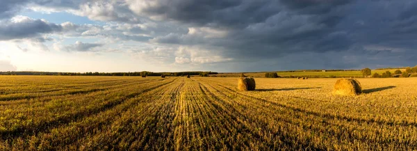 Scena ze stogami siana na polu jesienią słoneczny dzień. Krajobraz wiejski z zachmurzonym tle nieba. Złote zbiory pszenicy wieczorem. Panorama. — Zdjęcie stockowe