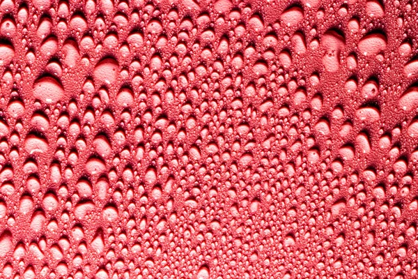 Macro Água Cai Textura Sobre Fundo Vermelho Padrão Abstrato Branco — Fotografia de Stock