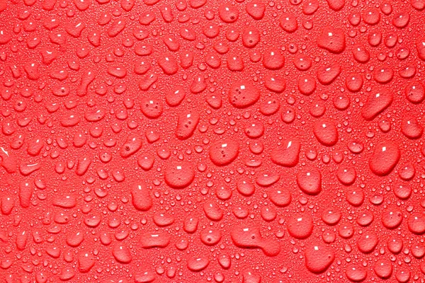 Macro Water Drops Texture Red Background Abstract Pattern Blank Design — Stock Photo, Image