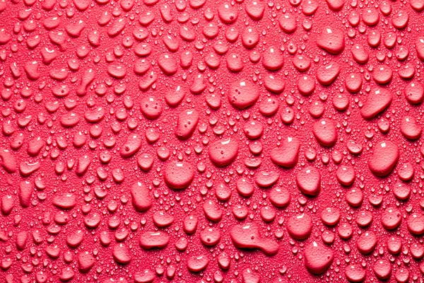 Macro Water Drops Texture Red Backdrop Abstract Pattern Blank Design — Stock Photo, Image