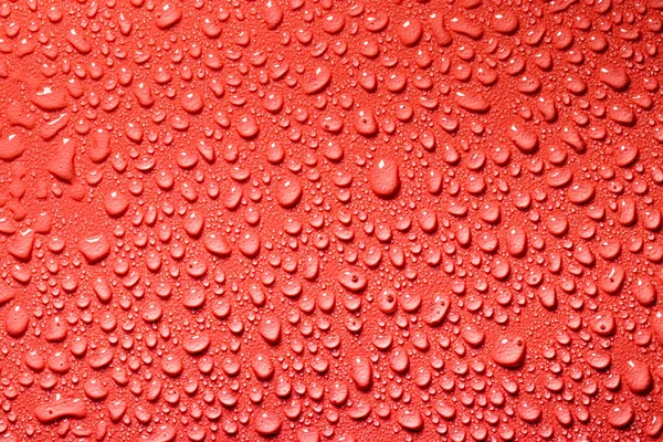 Macro Water Drops Texture Red Background Abstract Pattern Blank Design — Stock Photo, Image