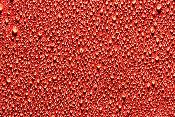 Makro Voda Kapky Textury Červeném Pozadí Abstraktní Vzor Nebo Prázdný — Stock fotografie