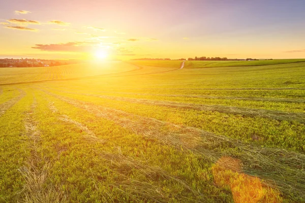 Puesta Sol Tierras Cultivadas Campo Una Noche Verano Con Fondo Imagen de stock